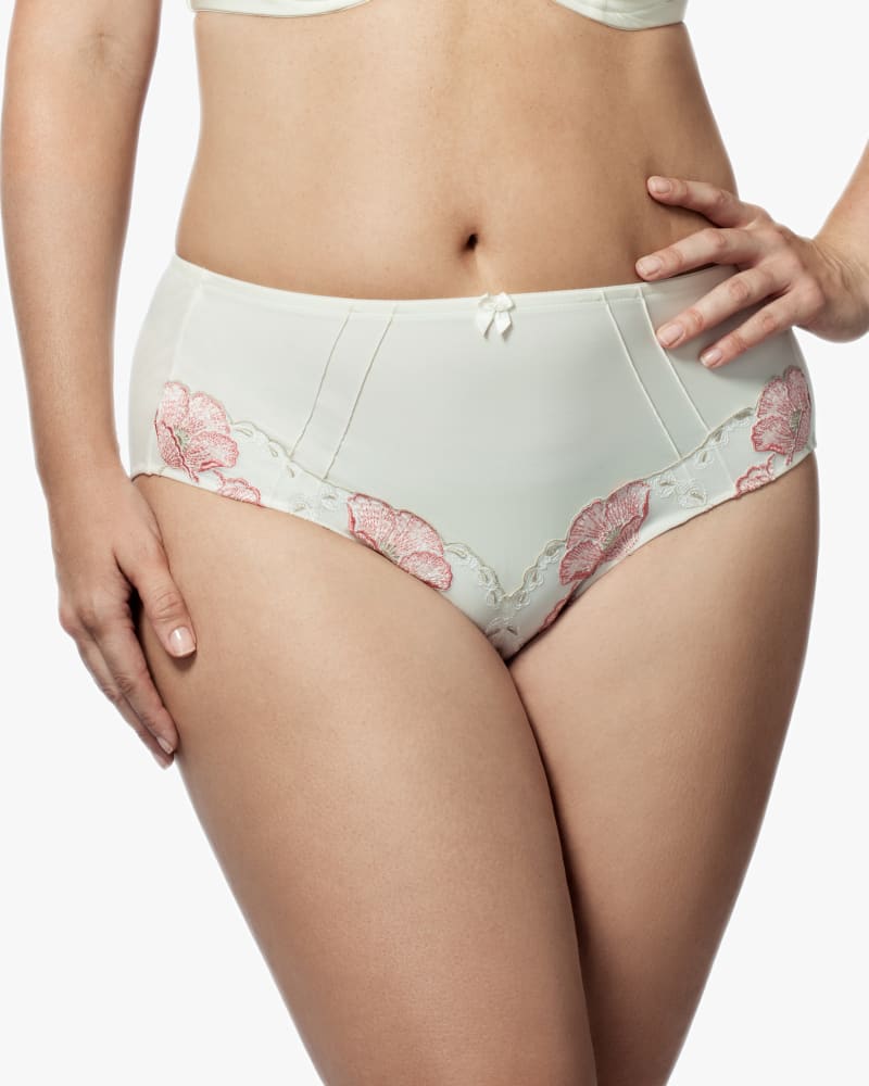 Front of plus size Glamour Panty by Elila | Dia&Co | dia_product_style_image_id:151362